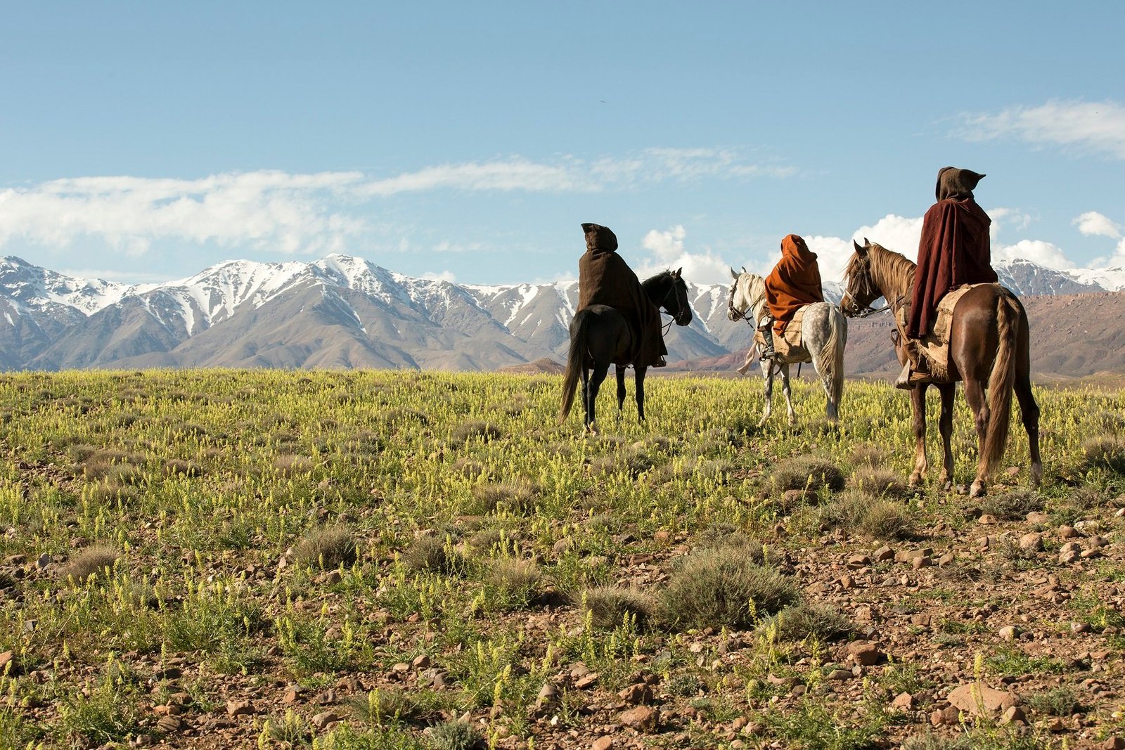 قمرة 2017 يقدم أصوات جديدة في عالم السينما بعرض أفلام من أخراج صناع أفلام واعدين