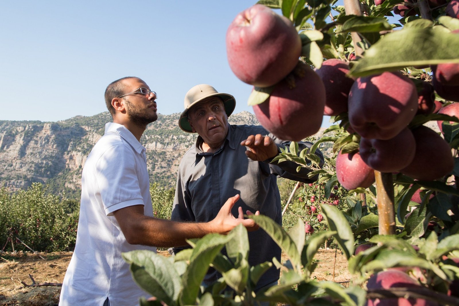المرشحون لـجائزة نستله للتأسيس لقيمة مشتركة 2018