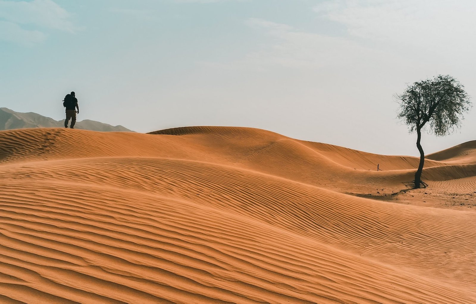 لعشاق الصحراء  فرصة لتعلم العيش وإنقاذ الآخرين في صحراء الشارقة