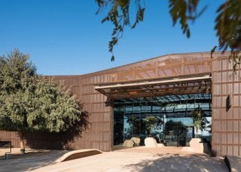 دعم الفنون لمواجهة آثار كورونا