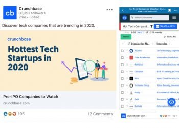 الشركة الأكثر رواجاً