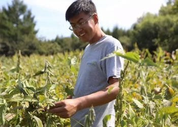 رائد أعمال صيني يحول فول الصويا الى منتجات فاخرة