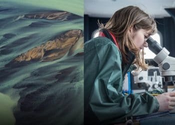 مسابقة إريكسون للابتكار حول المناخ