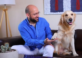 باوبوتس لطعام الكلاب تفوز بجائزة من بورينا أنليشد 2021