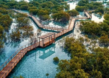 شجرة قرم لكل مقعد على الدرجة الرحبة-الاتحاد للطيران