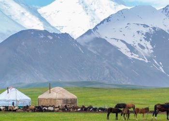 فلاي دبي الى أوش في قيرغيزستان