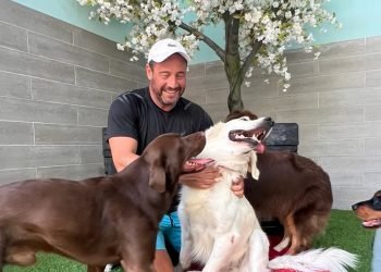 عمرو حازم رئيساً تنفيذياً لشركة TPS لرعاية الحيوانات الأليفة