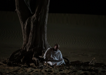 شجرة الغاف-حلقة جديدة من الكابوس