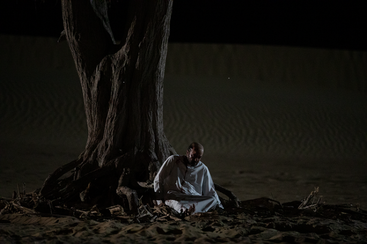 شجرة الغاف-حلقة جديدة من الكابوس