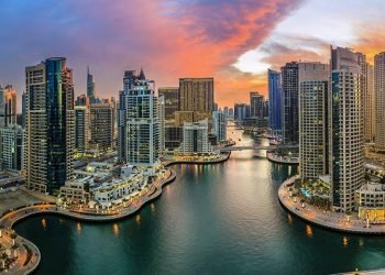 الضريبة المستحقة على الأفراد في الامارات