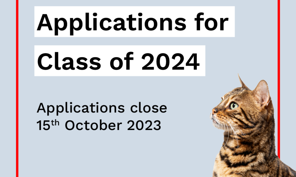 برنامج أناليشد لتسريع الشركات الناشئة