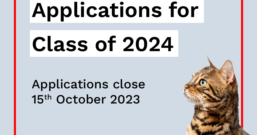 برنامج أناليشد لتسريع الشركات الناشئة