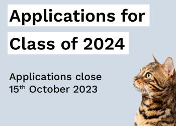 برنامج أناليشد لتسريع الشركات الناشئة