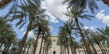 اطلاق 6 برامج بكالوريوس بالشارقة